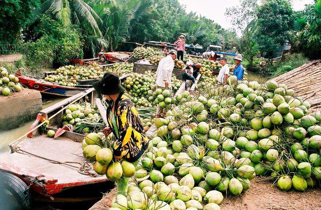 Thuyền dừa