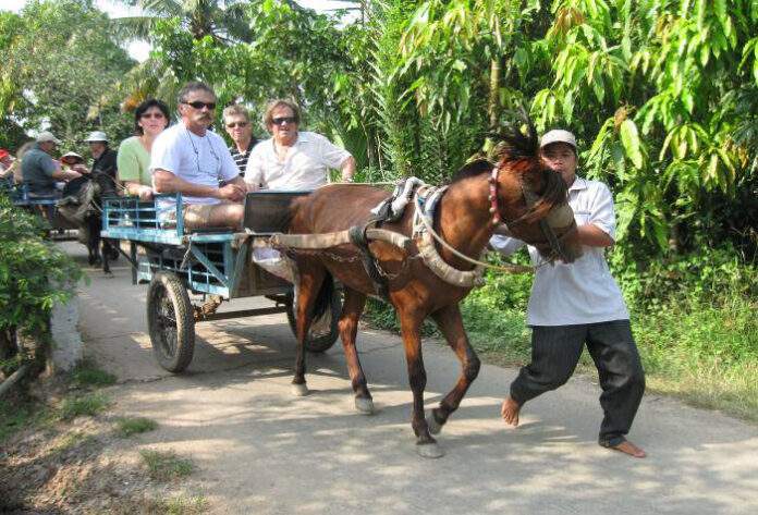 Ride horse to explore Con Phung