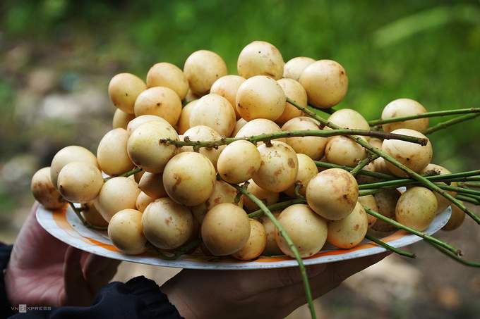 du lịch cần thơ ngày tết