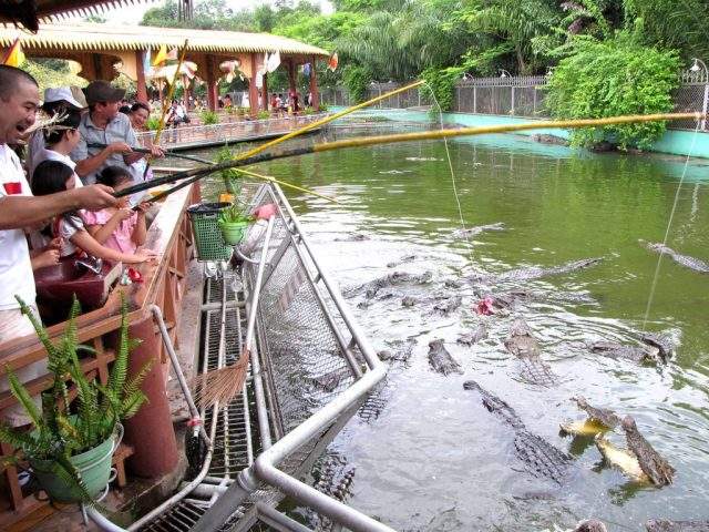 Địa chỉ khu du lịch Cồn Phụng Câu cá sấu