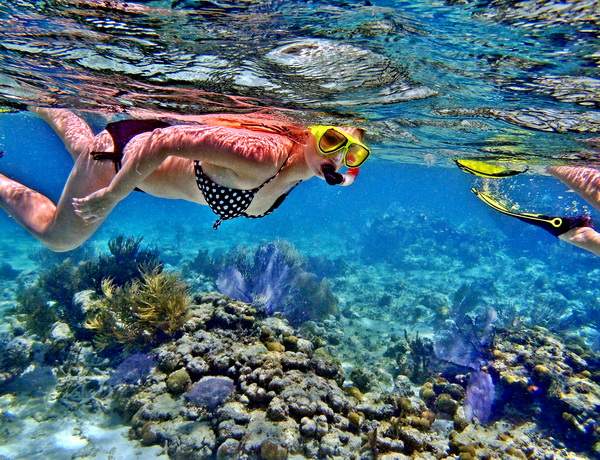 Lặn xuống lòng đại dương mênh mông ngắm san hô và sinh vật biển đầy thú vị