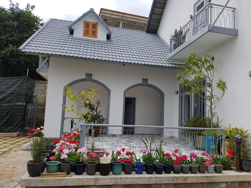 Tia Du Homestay là một căn nhà xinh xắn ngập tràn sắc xanh và những khóm hoa rực rỡ