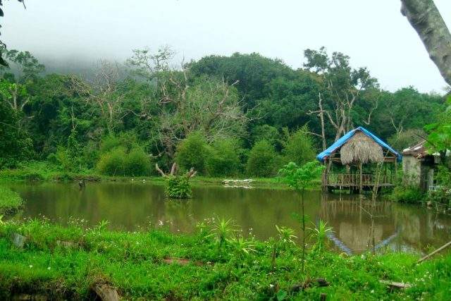 Hut for tourists in Da Nang (Photo: ST)