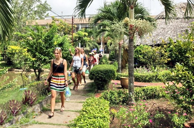 Hình ảnh các du khách tới tham quan vườn trái cây Cái Mơn