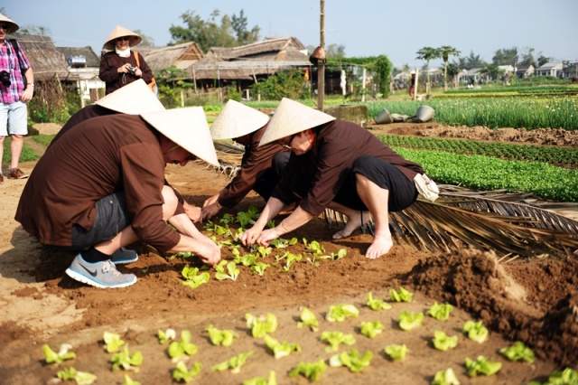 Nhiều du khách mặc quần áo đúng chất nông dân để tham gia trồng rau (Ảnh Collection)