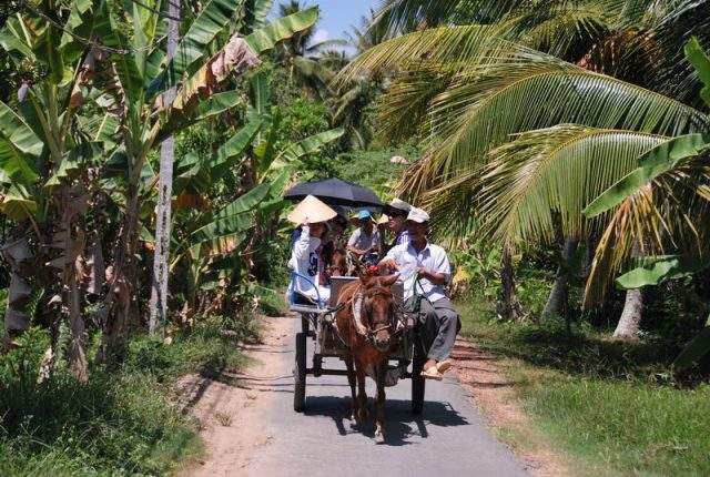 Du lịch Cồn Phụng bằng xe ngựa (Ảnh: Sưu tầm)